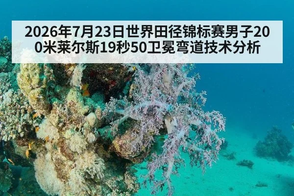 2026年7月23日世界田径锦标赛男子200米莱尔斯19秒50卫冕弯道技术分析
