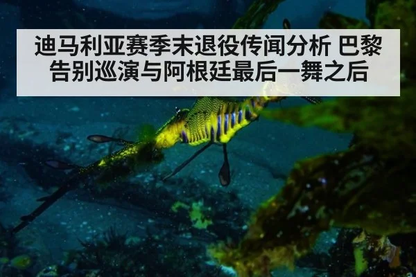 迪马利亚赛季末退役传闻分析 巴黎告别巡演与阿根廷最后一舞之后
